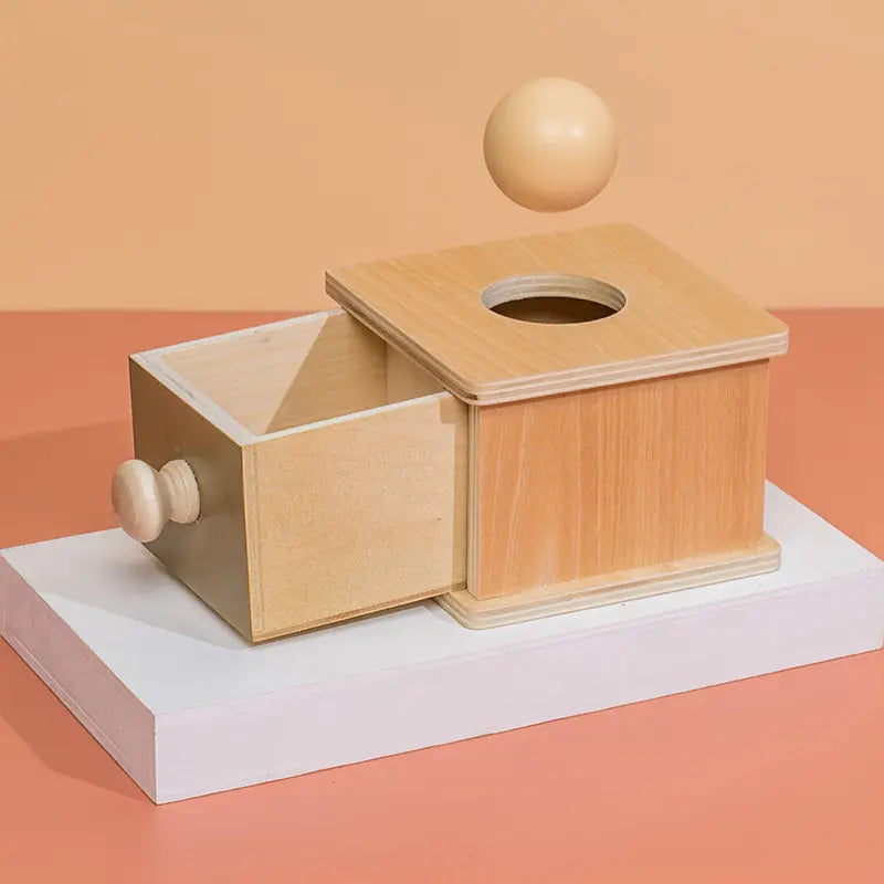 Object Permanence Box - 5 Piece Set