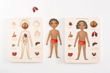 Wooden Human Body Anatomy Puzzle